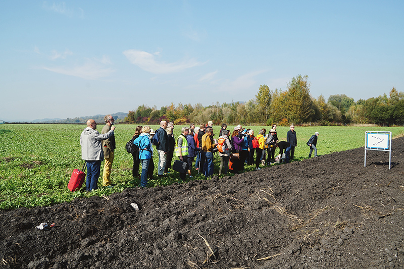 wortstafel crowd